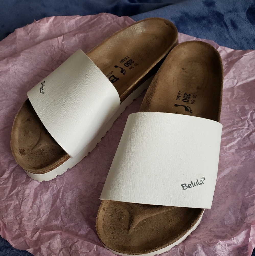 Betula.  FINAL SALE